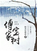 傅家三系列封面